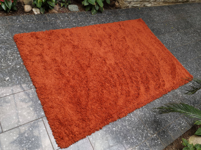 zzz 2025-07-15 Luna terracotta