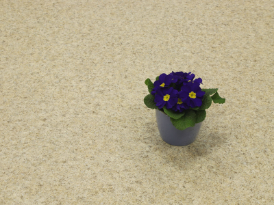 Zbytek 4,63x4m Centaur Iris...