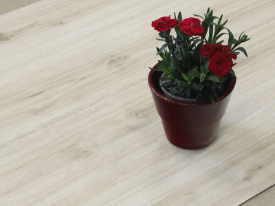 Thermofix PRO 14167-1 Dub Roma