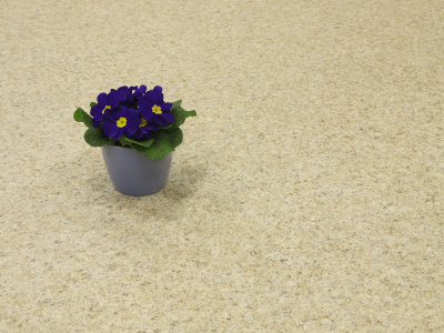 Zbytek 3,66x3m Centaur Iris...